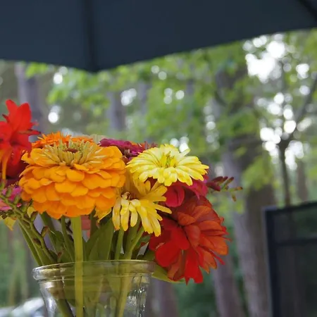 Appartamento Strandgoot